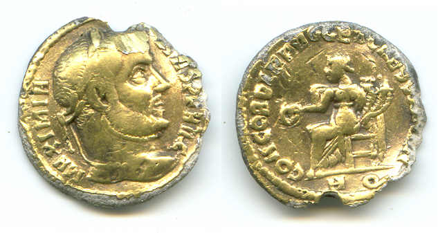 aureus